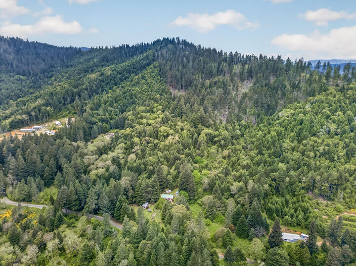 Property Photo:  181 Brimstone Road  OR 97497 