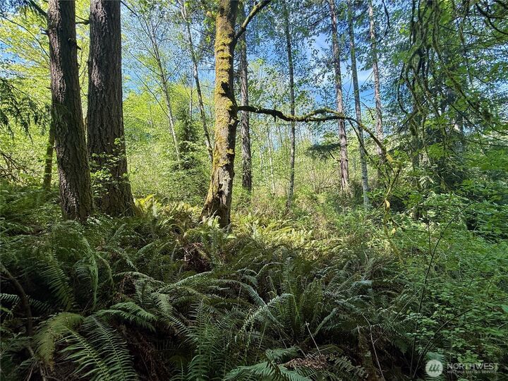 Property Photo:  5162  Phillips Road SE  WA 98367 
