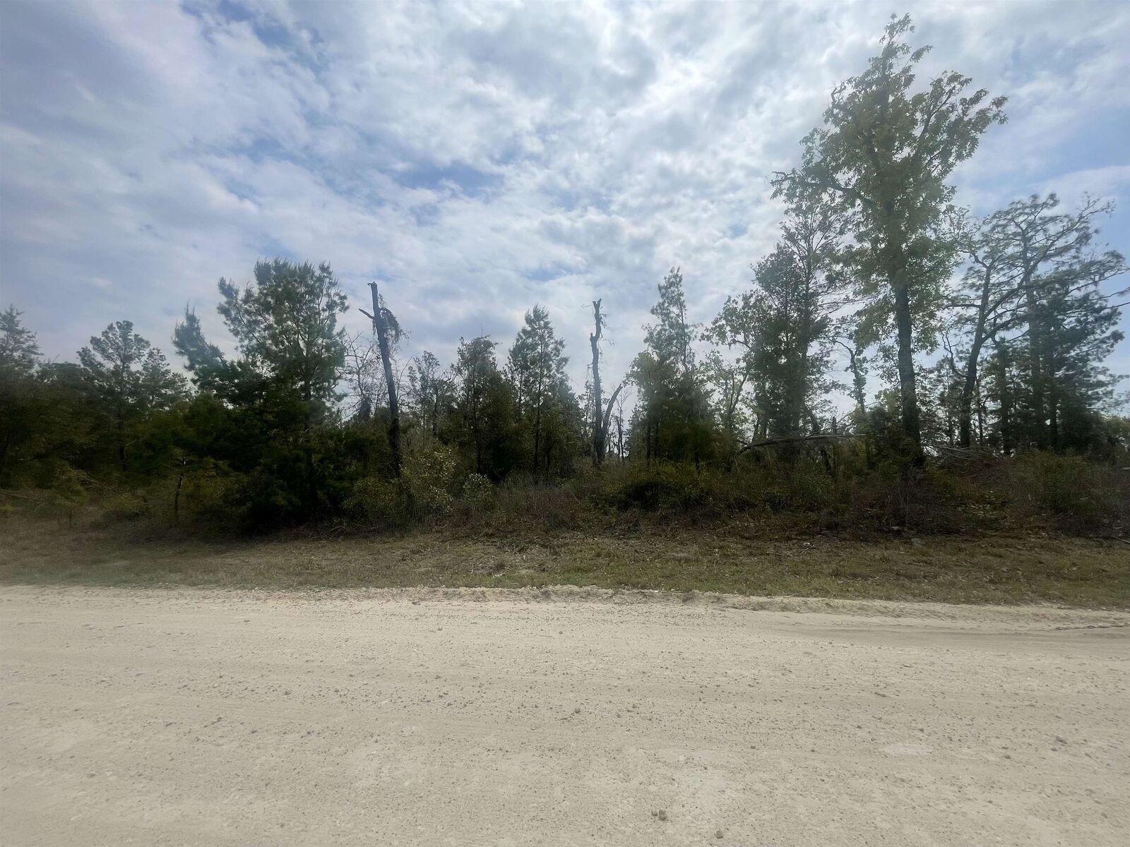 Property Photo:  0 E Royal Oak Drive  FL 32348 