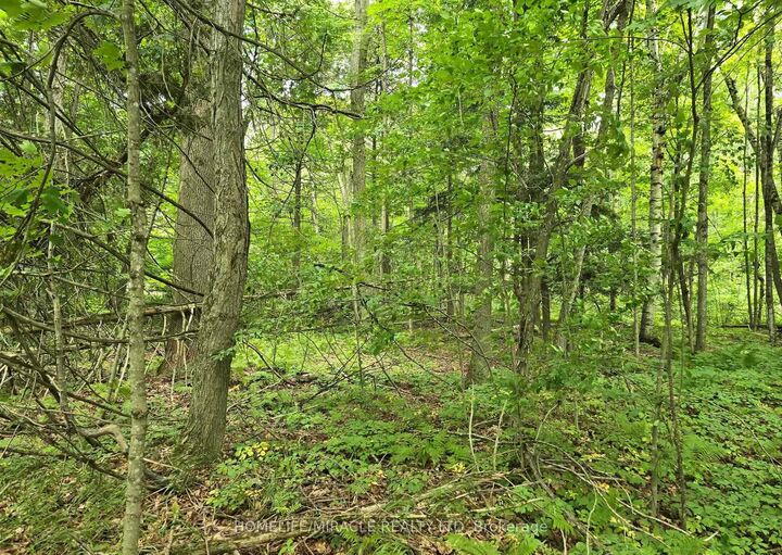 Property Photo: 000 Cedar Sands Road ON K0E 1N0