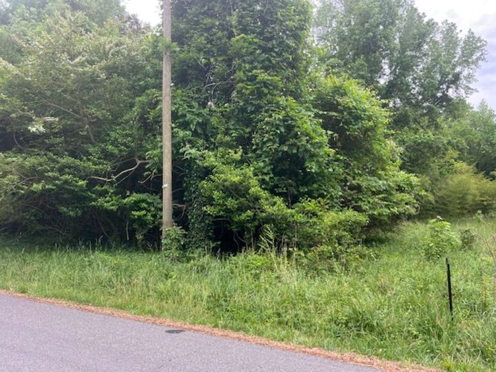 Property Photo: 1.0 Acre Mansion Avenue VA 23899