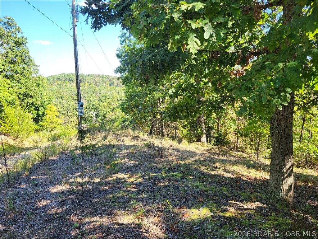 Property Photo:  32534 Compromise Road  MO 65037 