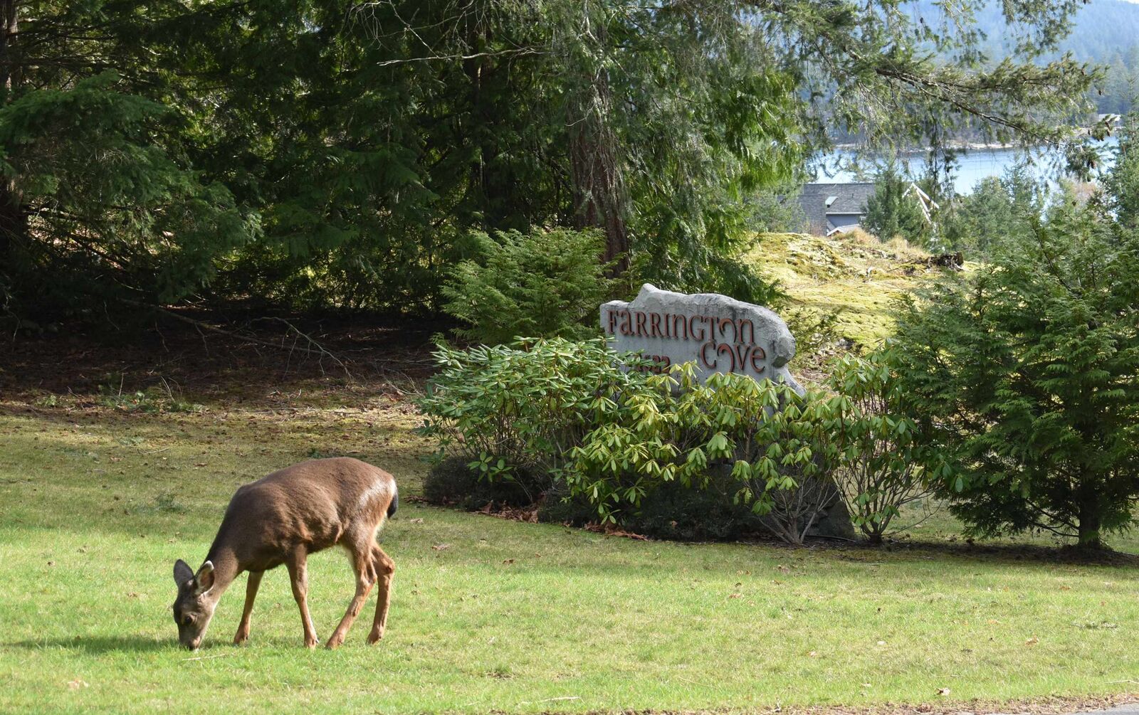 Property Photo:  4622 Sinclair Bay Road 7  BC V0N 1S1 