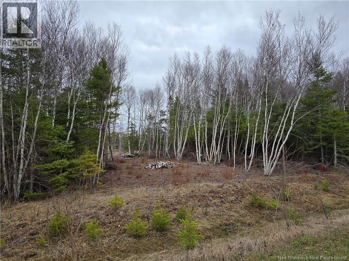 Property Photo:  1.5 Acres Chemin Pierre-à-Miguel  NB E8P 0E3 