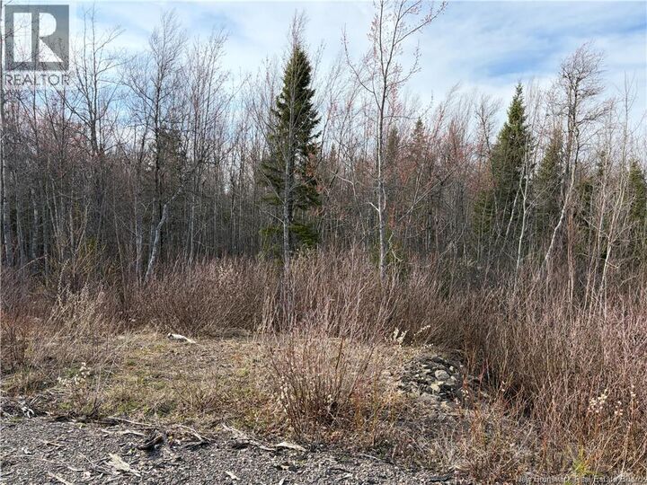 Property Photo:  Lot 1 Cocagne Sud  NB E4R 2C9 