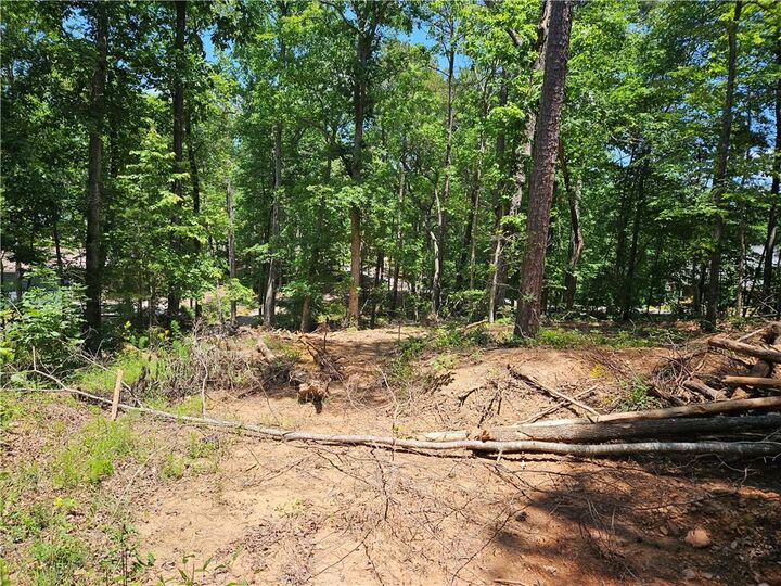 Property Photo:  1581 Mount Carmel Church Lane  GA 30114 