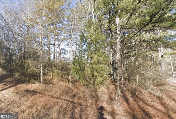 Property Photo:  000 New Hope Church Road  GA 30052 