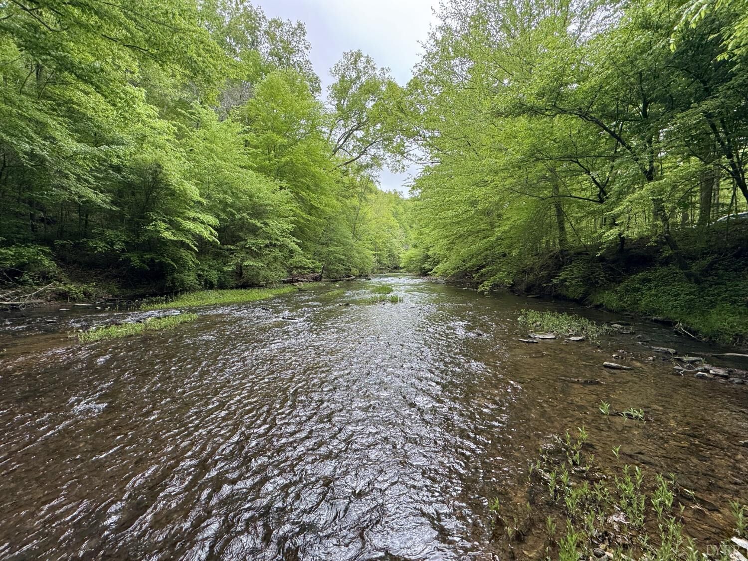 Property Photo: 0 Hollywood Road VA 24522
