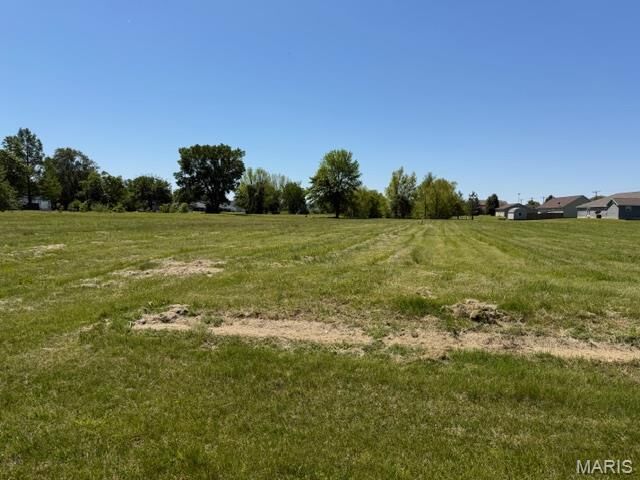 Property Photo:  00 Illinois Avenue S  MO 63801 
