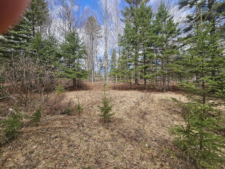 Property Photo:  Lot 9 Amber Road  ME 04970 
