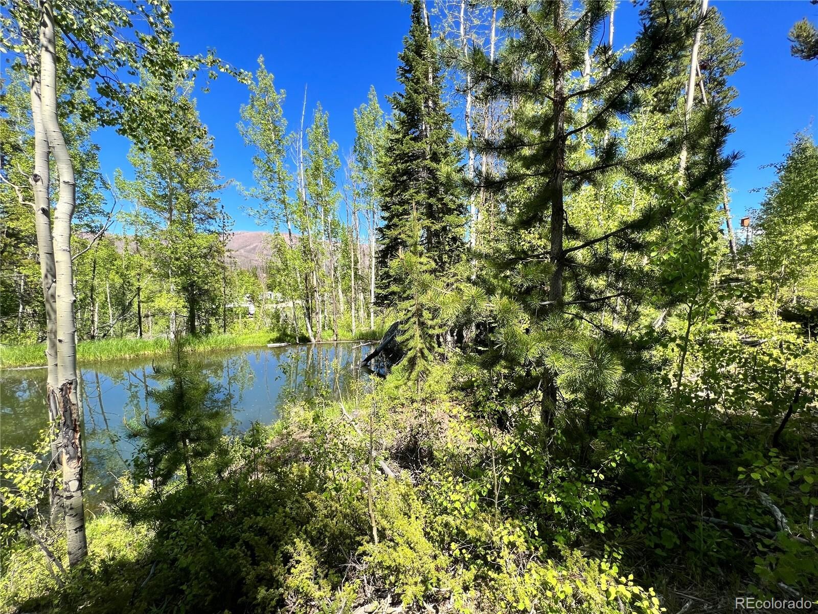 Property Photo:  134 Mad Moose Lane  CO 80447 