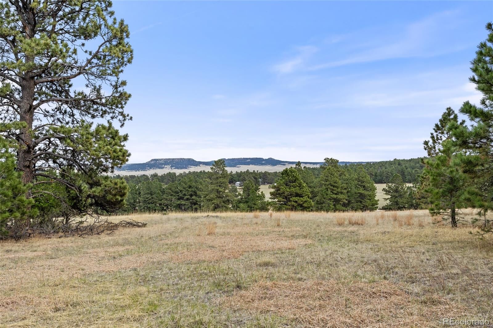Property Photo:  8653 N Teacup Road  CO 80106 