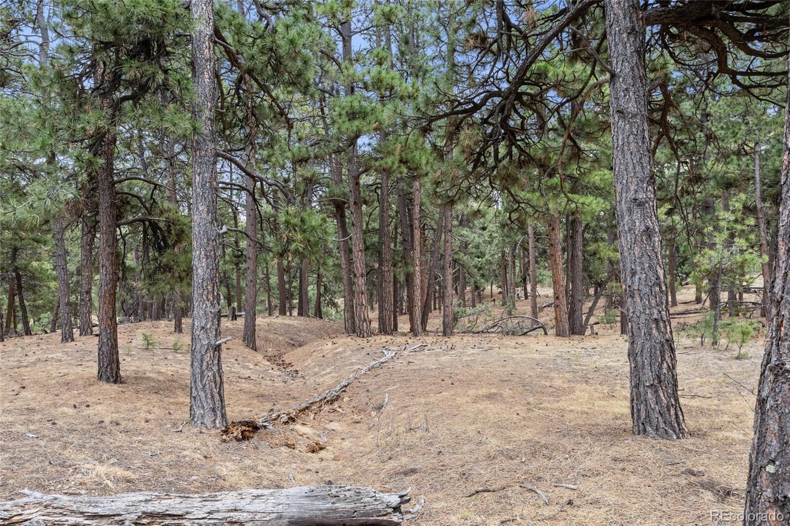 Property Photo: 8653 N Teacup Road CO 80106