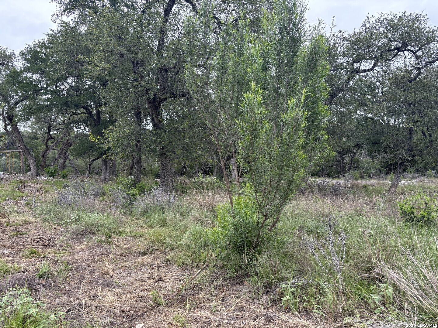 Property Photo:  1464 Stahlman Way  TX 78132 