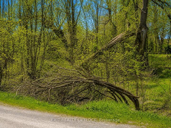 Property Photo:  0 Maple Ridge Drive  ON K0L 2W0 