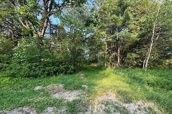 034541 Sideroad 21-22 N/A — photo 1