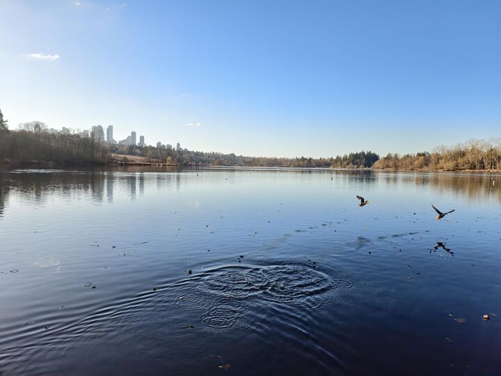 Property Photo:  7668 Wheater Court  BC V5E 4P3 