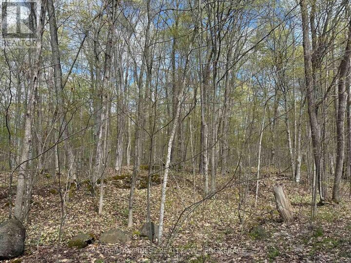 Property Photo:  162 Black Rapids Road  ON K0E 1N0 