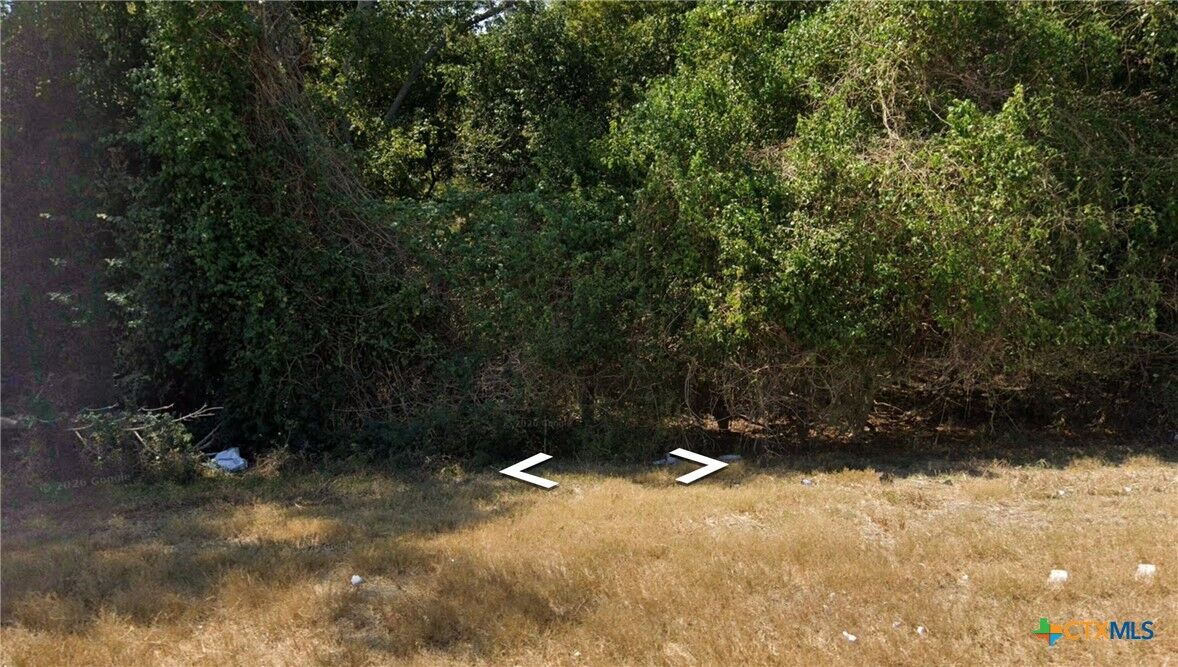 Property Photo:  719 Water Street  TX 78629 