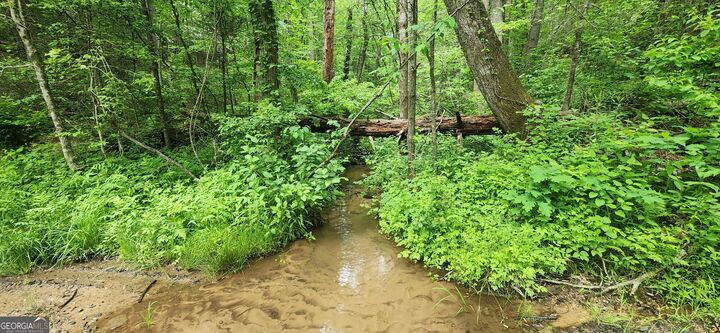 Property Photo:  13 Ac Goose Island Road  GA 30540 