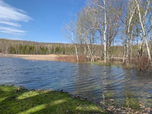 Property Photo:  642 Boyne City  MI 49712 