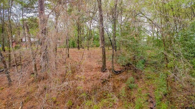 Property Photo:  161 Fairway Drive E  TX 75771 