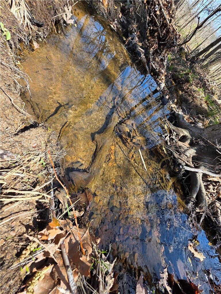 Property Photo:  Mountain Springs Rd  AR 72624 