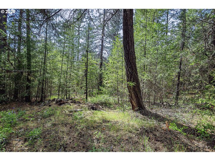Property Photo: Nka Forest Glen Dr #37/38 WA 98620