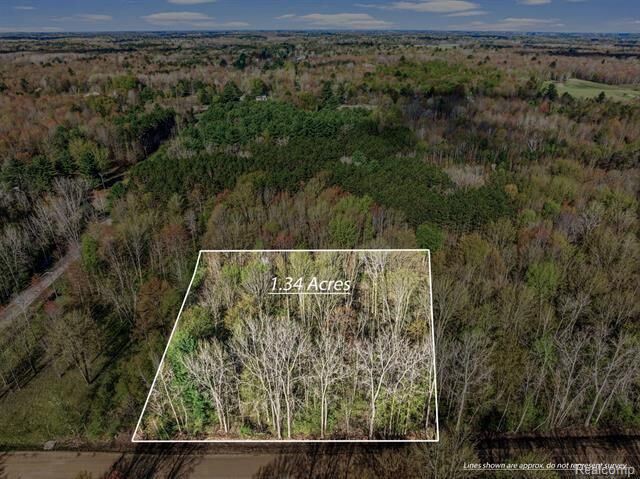 Property Photo:  #Aaa V/L Maplegrove Lane  MI 48768 