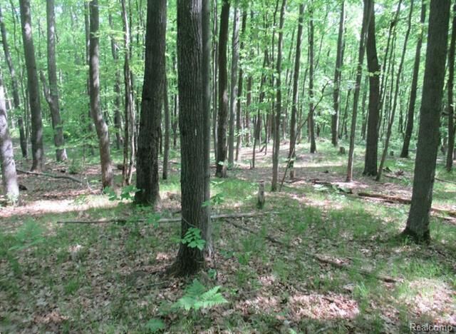 Property Photo:  2360 Fawn Circle  MI 48625 