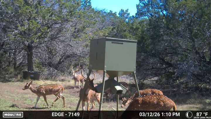 Property Photo:  Tract 2 Elm Pass  TX 78003 