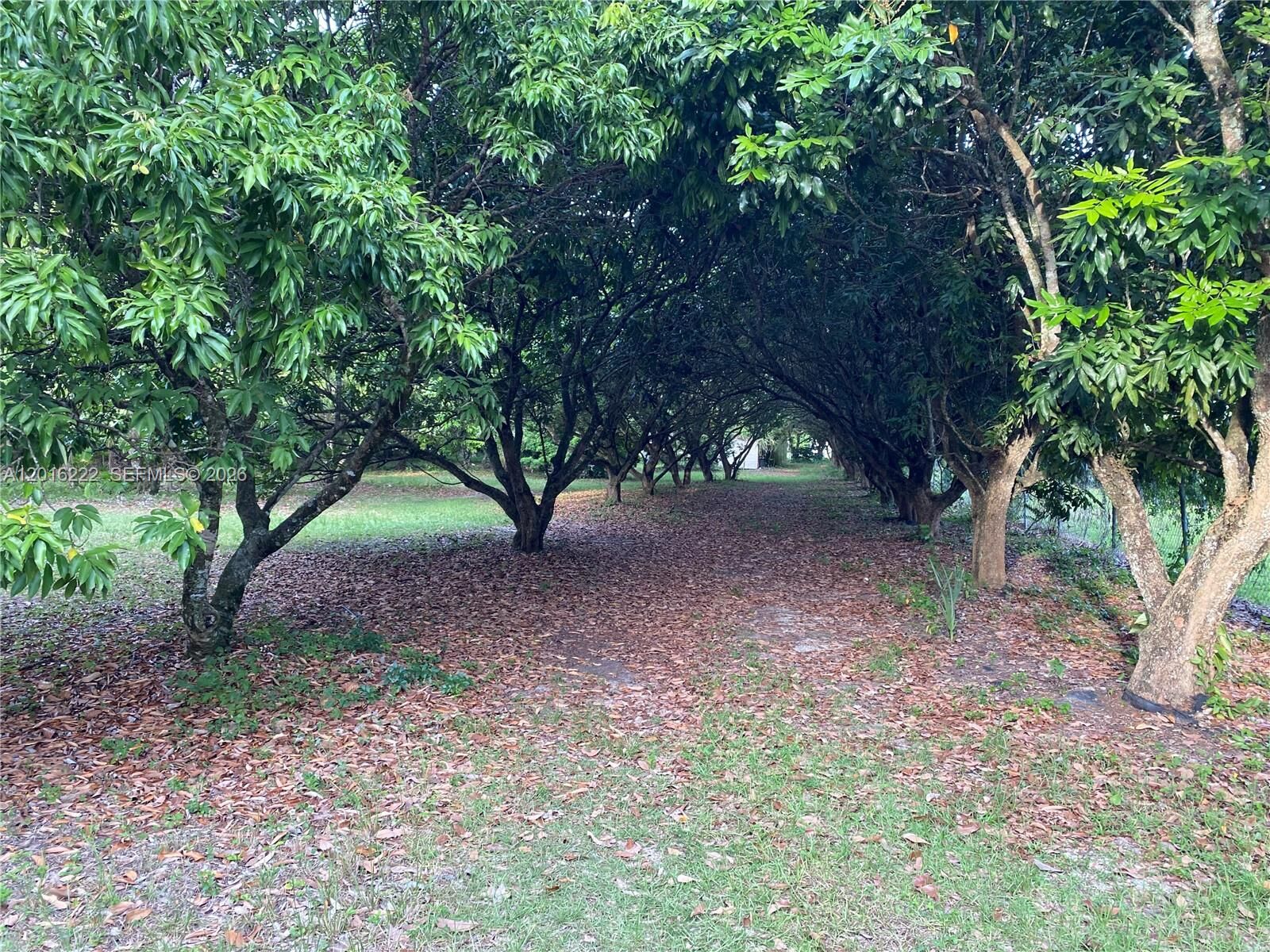 Property Photo:  19675 SW  165 Avenue  FL 33187 