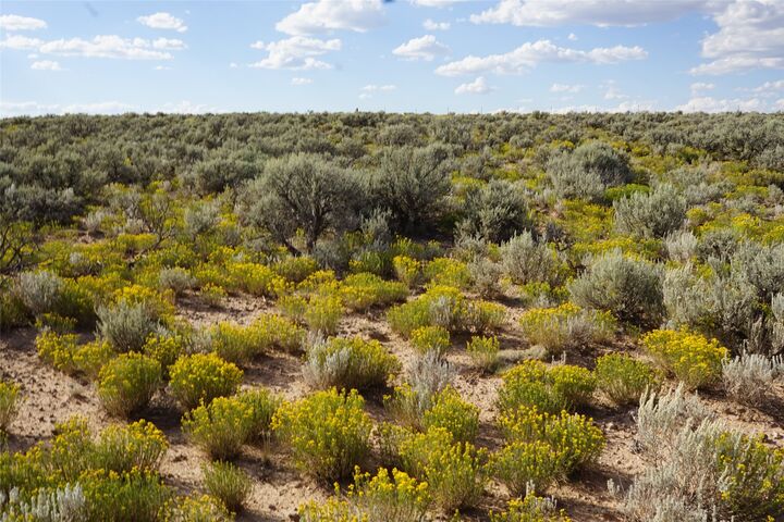 Property Photo: Xx Rim Road Cb-115 (Parcel B Rancho Sabina Desgeorges NM 85717