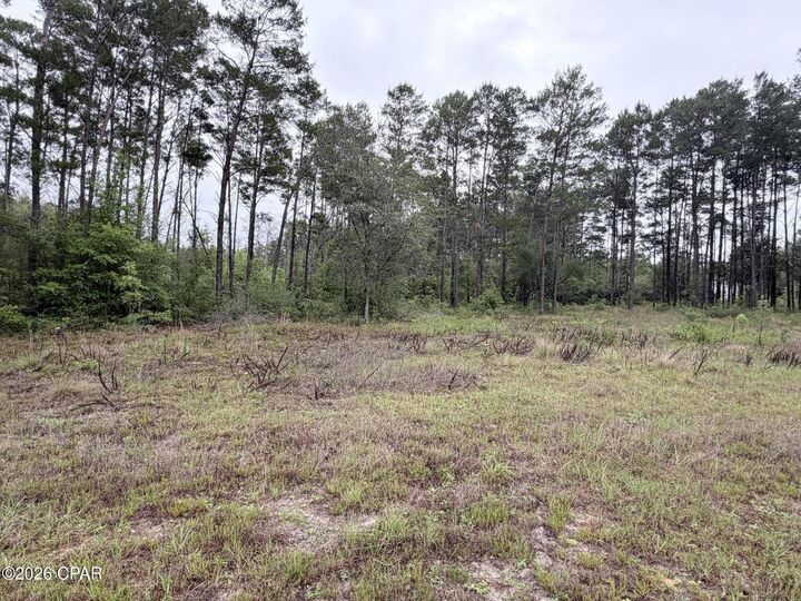 Property Photo:  811 Tashanna Lane  FL 32409 