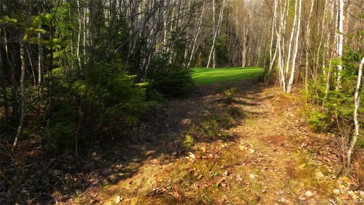 Property Photo:  Lot Route 126  NB E4T 2Z5 