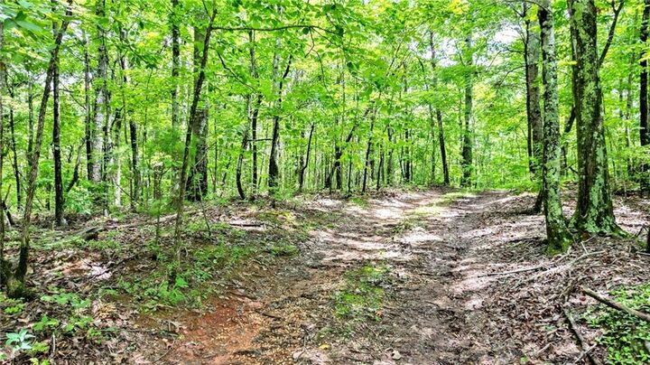 Property Photo:  23.83 Pine Crest Road  GA 30143 