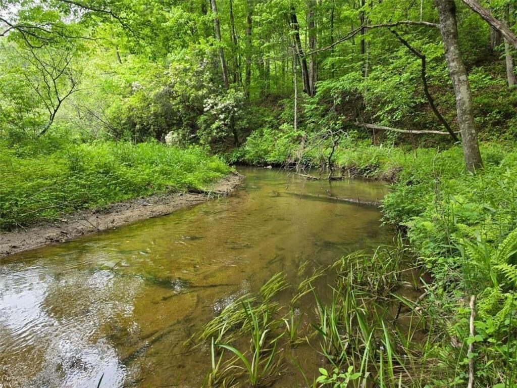 Property Photo:  409 Harrison Sluder Road  GA 30540 