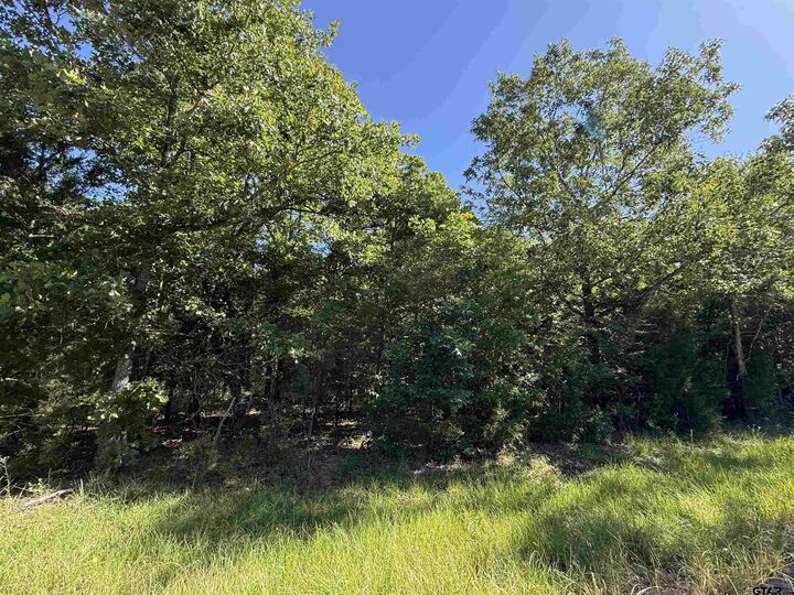 Property Photo:  000 Cr 457  TX 75773 