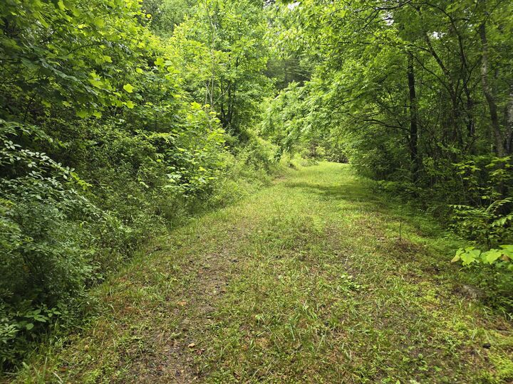 Property Photo: 36 US Hwy 119 KY 40813