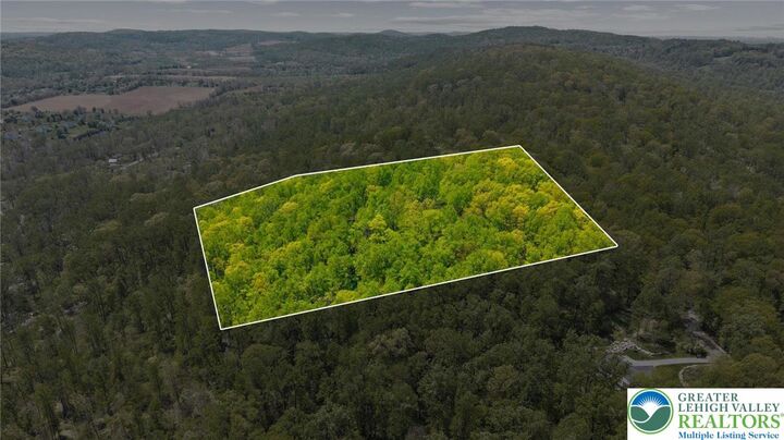 Property Photo:  Flagler Street  PA 18042 