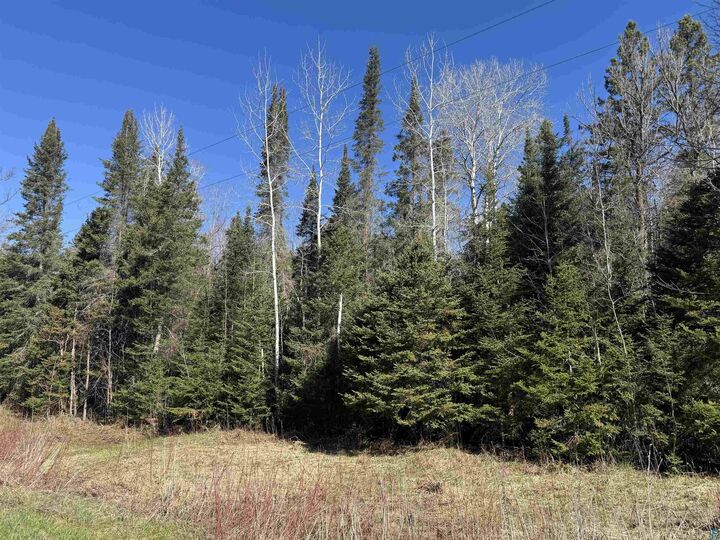 Property Photo:  Xxx Lund Rd  WI 54854 