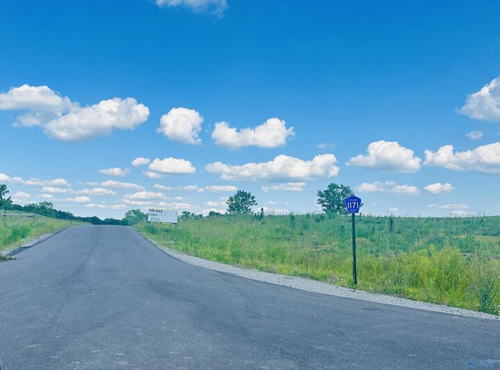 Property Photo:  56 County Road 1171 Lot 3  AL 35057 