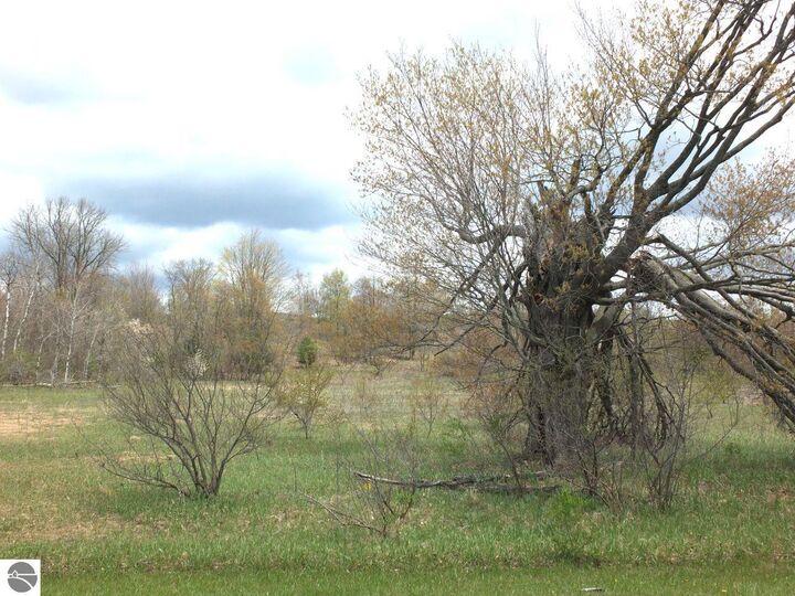 Property Photo:  Lot 11 Kingsfield Drive  MI 49649 