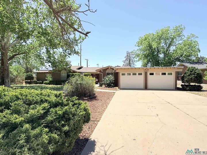 Property Photo: 157 Yucca Drive NM 88130