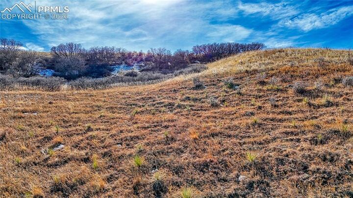 Property Photo:  Michener Drive  CO 80907 