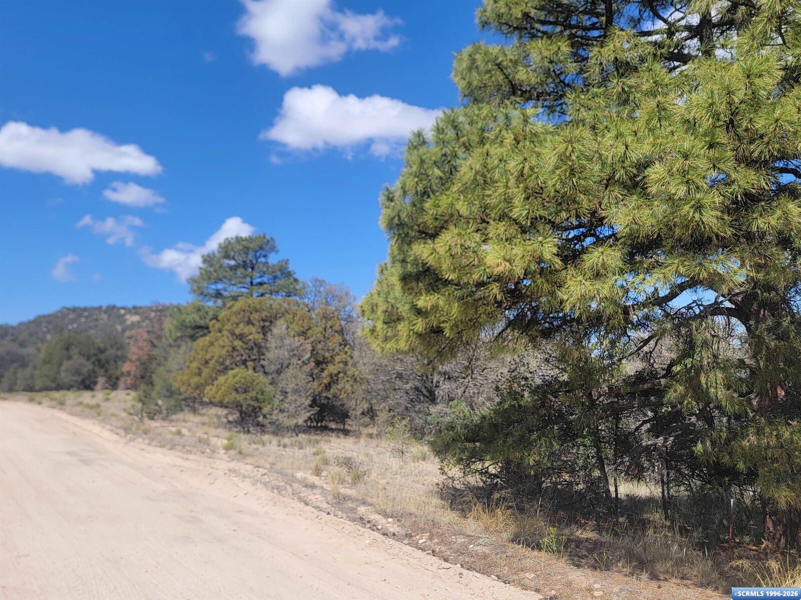 Property Photo:  Xx Tyrone Thompson Road  NM 88061 