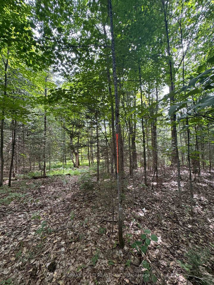 Property Photo:  1791 Alsace Road  ON P0H 1Z0 