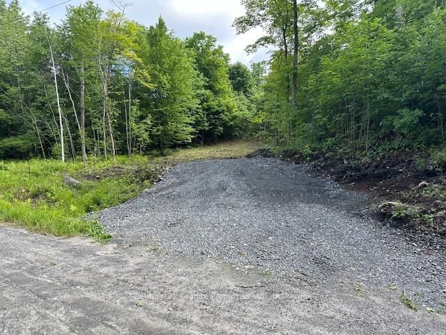 Property Photo:  4 McNaughts Road  ON P2A 2W9 