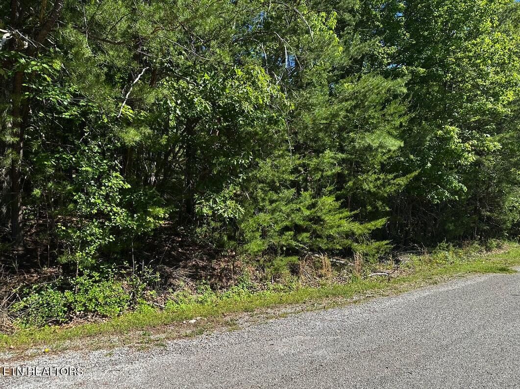 Property Photo:  16 Norwood Place  TN 38558 