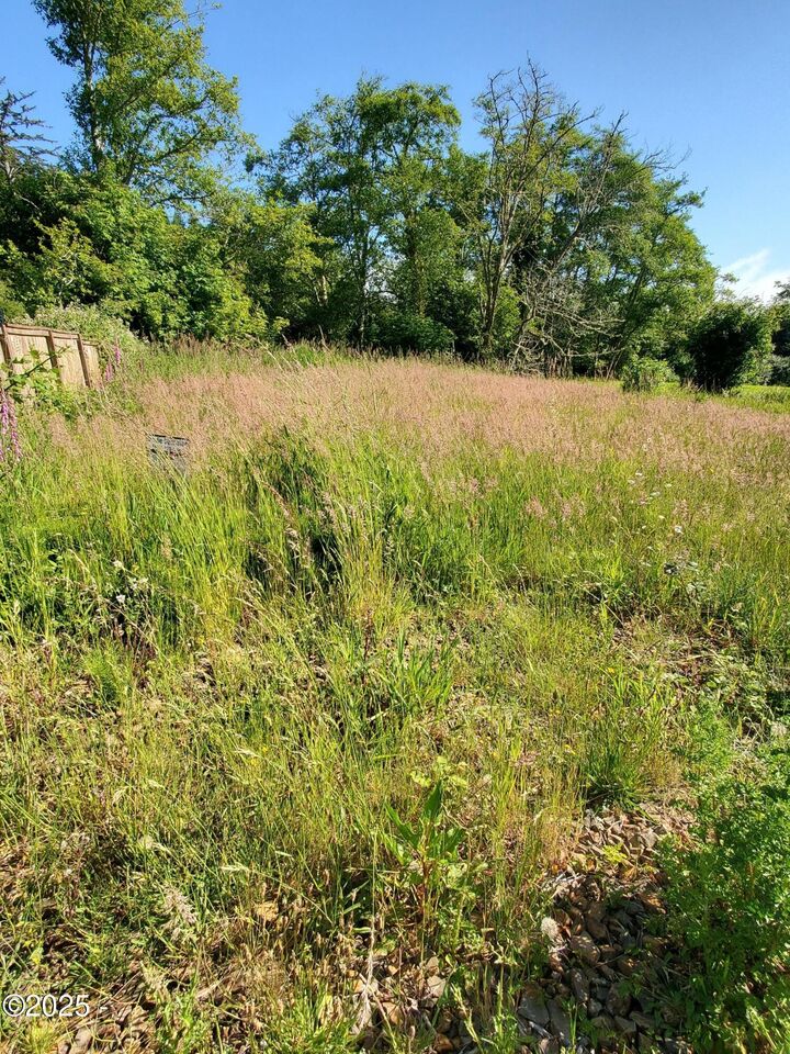 Property Photo:  Tl1508 + NE East Devils Lake Road  OR 97367 